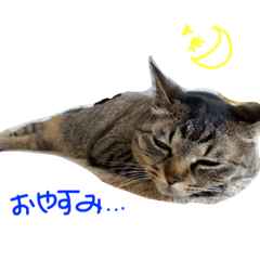 risa_20200502150939