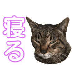 ryuki_20200502150612