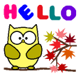 Miss Colorful Owl (English Version)