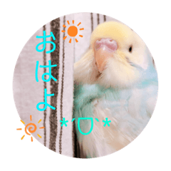 Hana_20200502121051