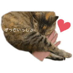 みーことみーこのひびのすたんぷ