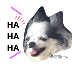 YUKARI_20200502193759