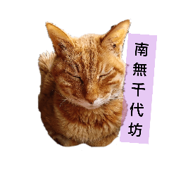 yamazaki_20200502201047