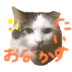 aoi_20200502173917