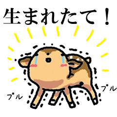 Newborn Fawn Sticker Line Stickers Line Store