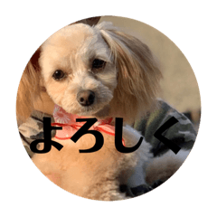 MIZUKI_20200502202707