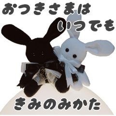 BABYRABBIT-2nd-