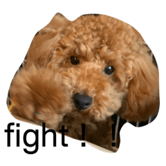 mayu_2020beruchanchan