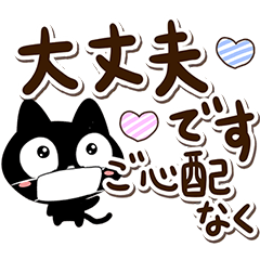 Very cute black cat. (Compassion)