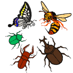 Bugs daily life