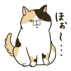 Mikenouchi-Yutaka"cat"