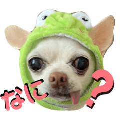 eripoyoooooooooooooooon