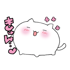 cat-buns