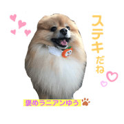 shu_shu_20200502192118