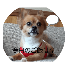 Yukari_20200502224616