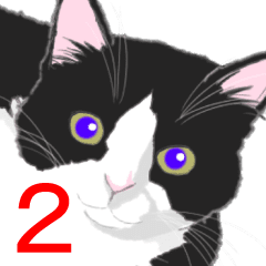 ハチワレねこのシュー2 Line スタンプ Line Store ハチワレねこのシュー2 Line スタンプ Line Store