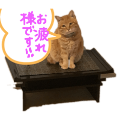 aoi_20200502231347