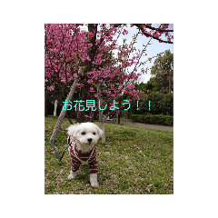 ken_20200502225526