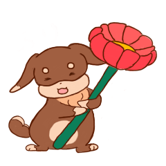 Brown dachshund.