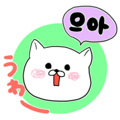 Cute cat Hangul Sticker (JPN.ver)