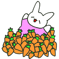 I am rabbit, I love carrot!