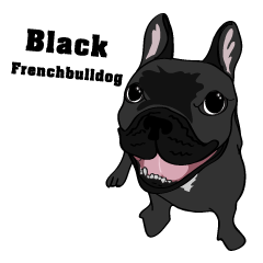 Noodee Black frenchbulldog