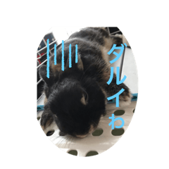 mhellohellokitty524400