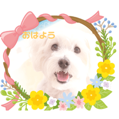 kazue_20200503115723