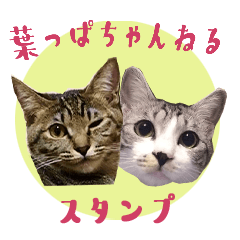 Cute Cats Laurier and Rucola Sticker