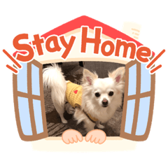 JUNKO_20200503120638