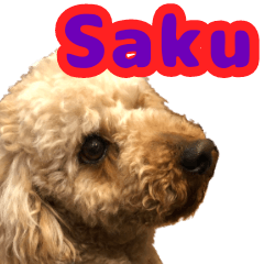 My friend is Saku.