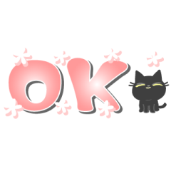 Small, obliging, black cat 14