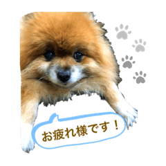 AI_20200502
