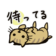 For cat-lovers' life