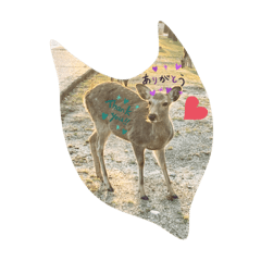 Smile_20200503153927