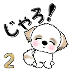 シーズー犬の広島弁Vol.2 40