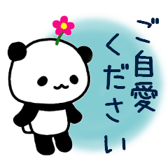Gentle and kind Panda Sticker