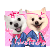 8pome_Su Ka sei