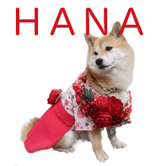 HANA'S STICKER 2020
