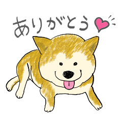 Happy life with lovely Shiba ken