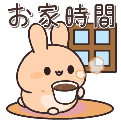 house time of chestnut color rabbit