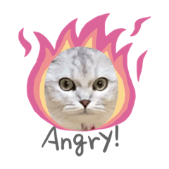 sumire_20200503164451