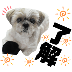 natsumi_20200503162251