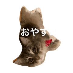 Hana_20200503105703