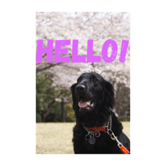 stampslovercomeon let's  be friend!