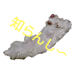 omo_20200503195710