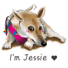 The cool dog-Jessie