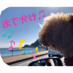 2020 da and yu 20200503