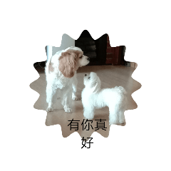 我家寶貝集Perky and viking