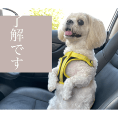 yun_20200503221318
